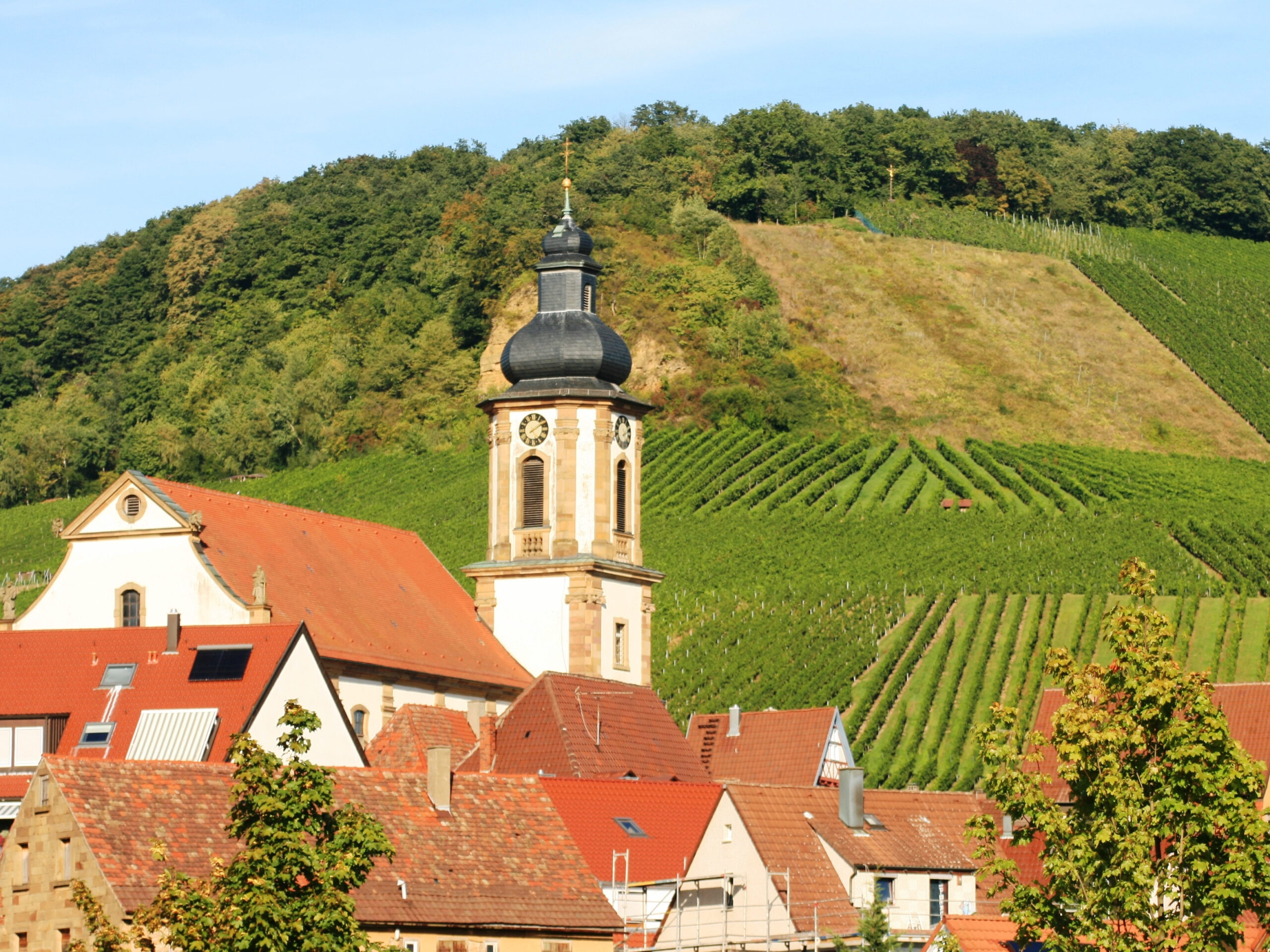 chiropraktik erlenbach